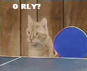 orly ing pong with cat macros 