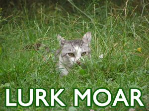 lurkmoar.jpg