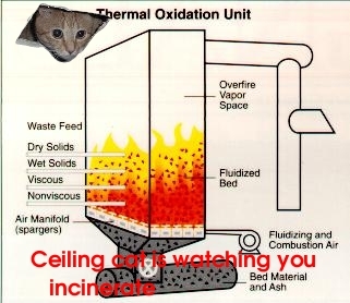 incinerate.jpg