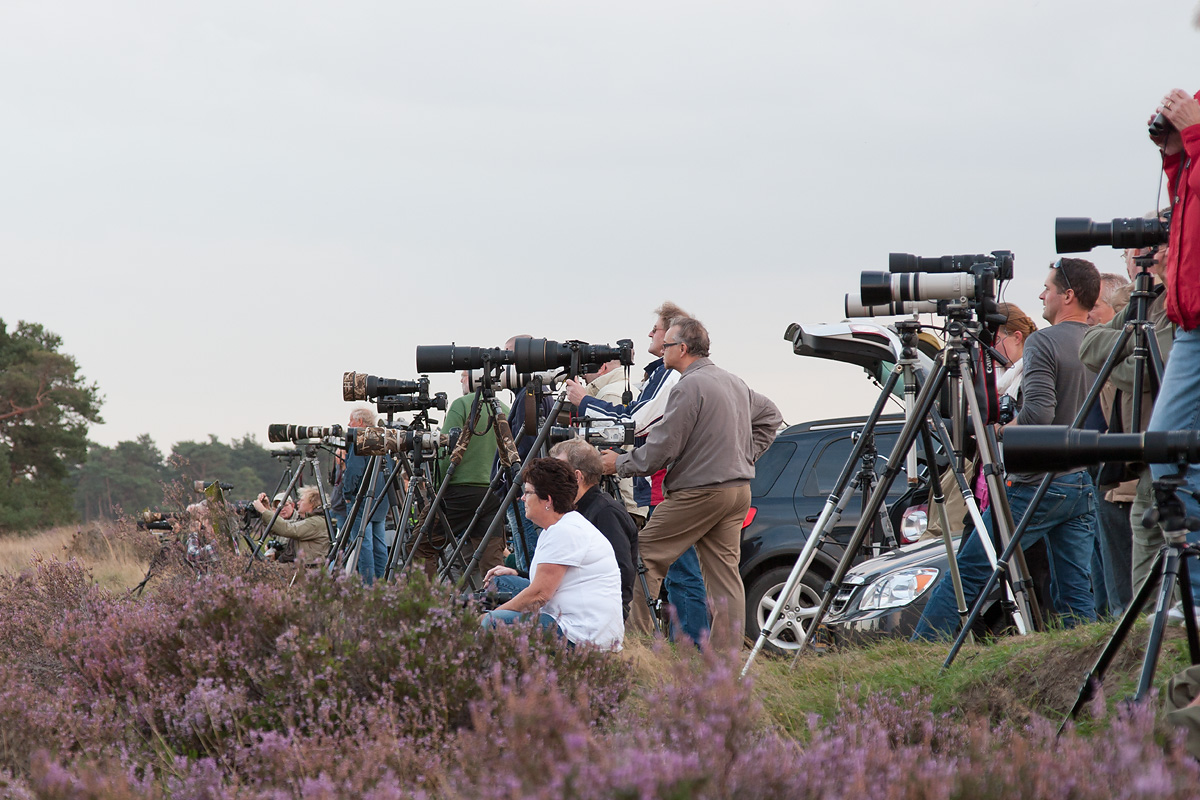 hoge veluwe 16-09-2011 2.jpg