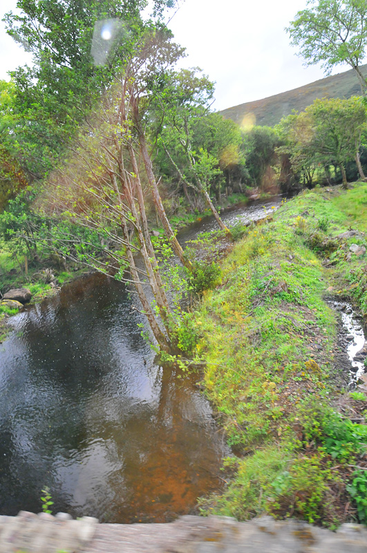 011_9913Killarney_RingofKerry.jpg