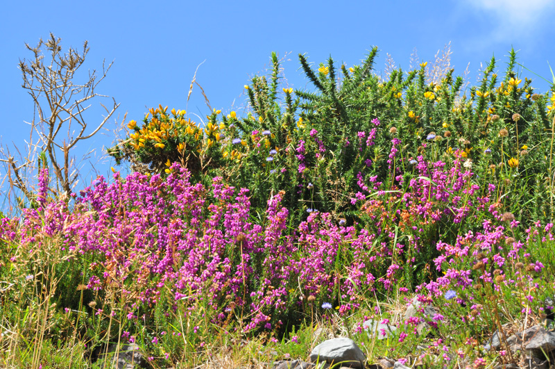 011_10138Killarney_RingofKerry.jpg