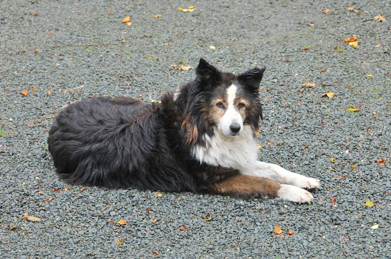 011_0295Molanna_Colleen.jpg