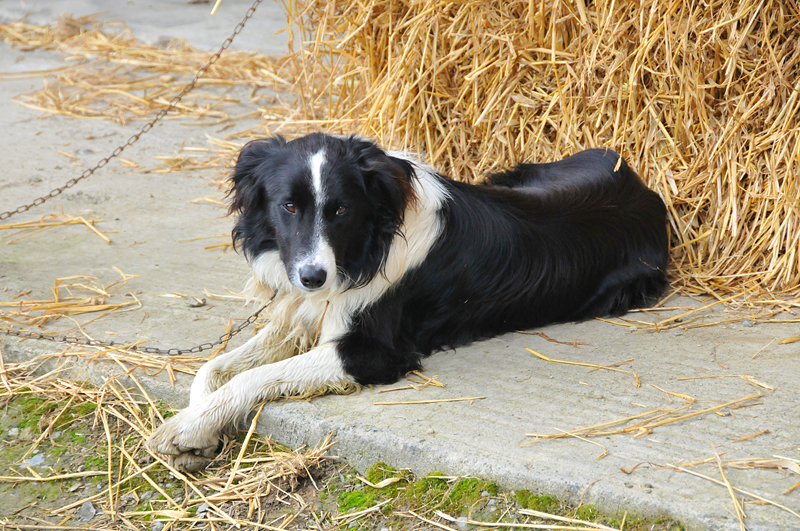 011_0322Molanna.jpg