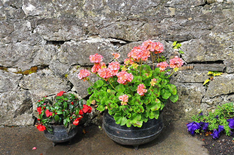 011_0376Adare.jpg