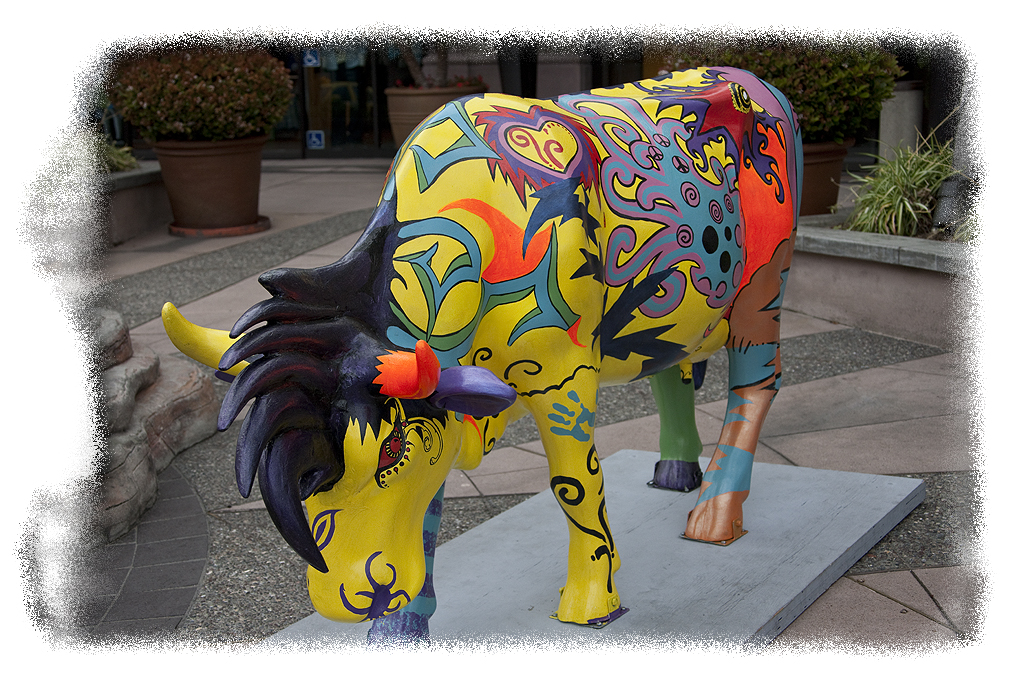 Mohawk Cow