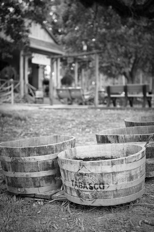 Tabasco081509 289- copyA.JPG