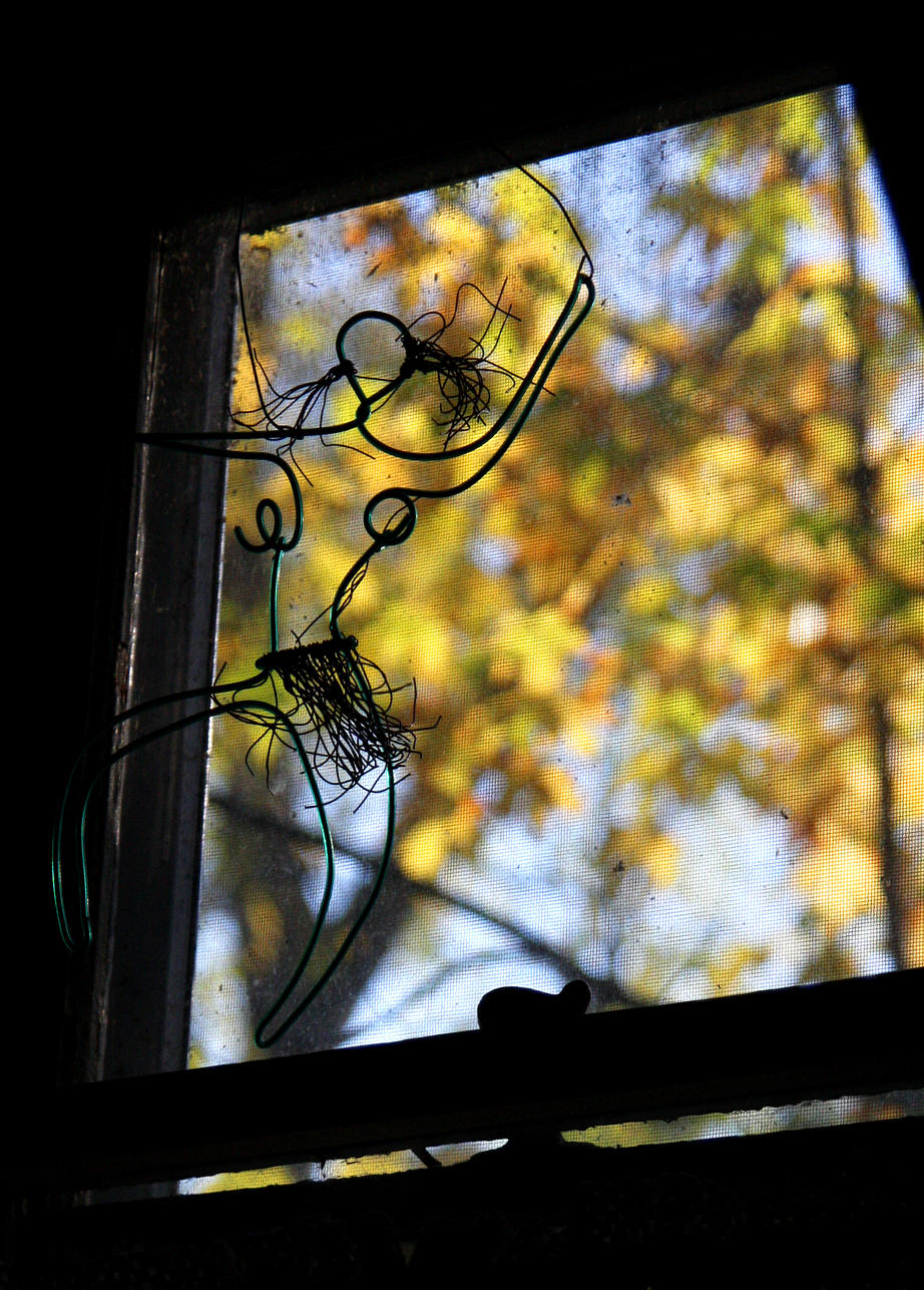 wire womon at the window