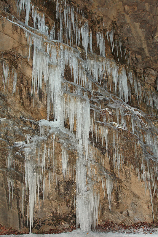 Icicles ledene svee _MG_5292-11.jpg