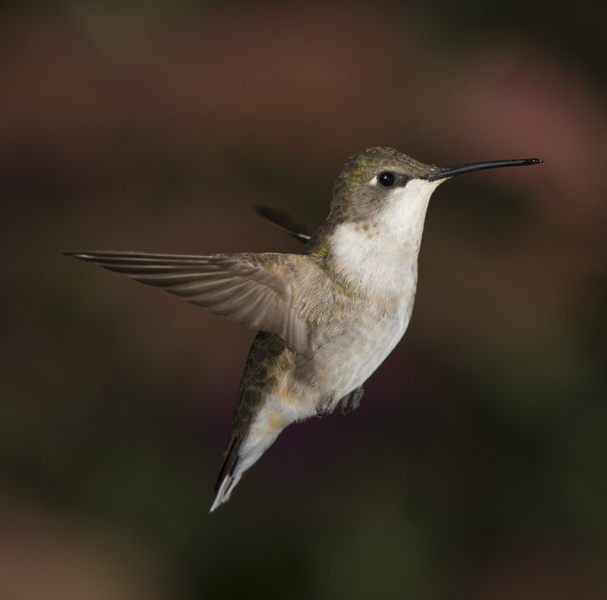 20120923_3679.jpg