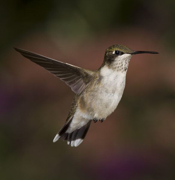 20120923_3692.jpg