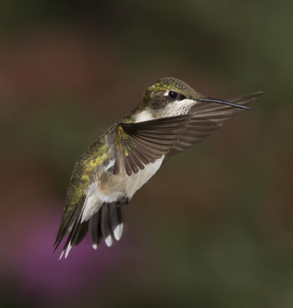 20120923_3975.jpg