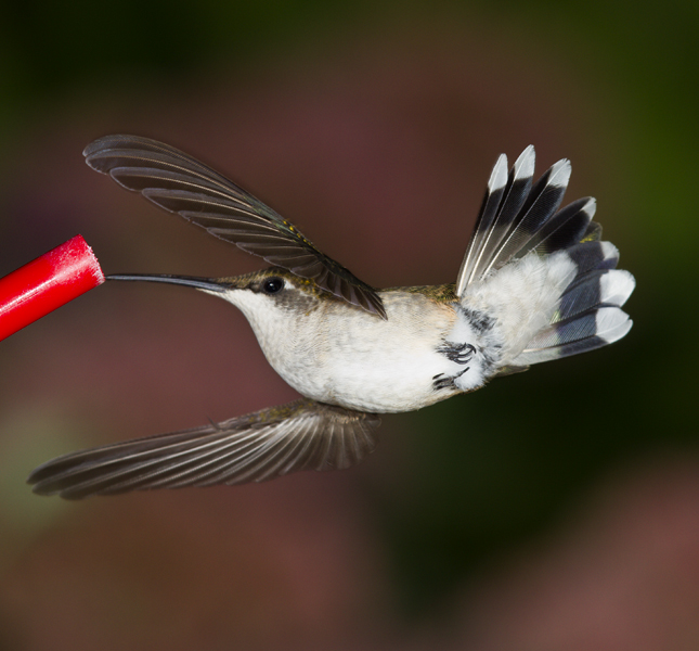 20120923_4355.jpg