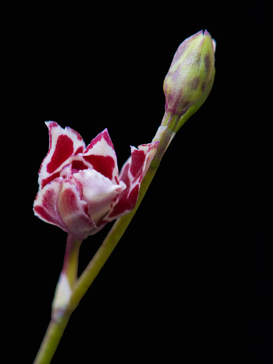 PB100625.jpg