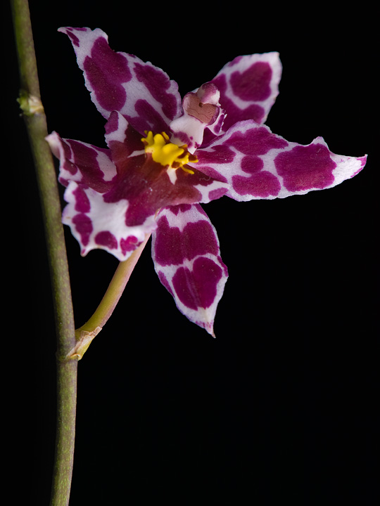 PB100633.jpg