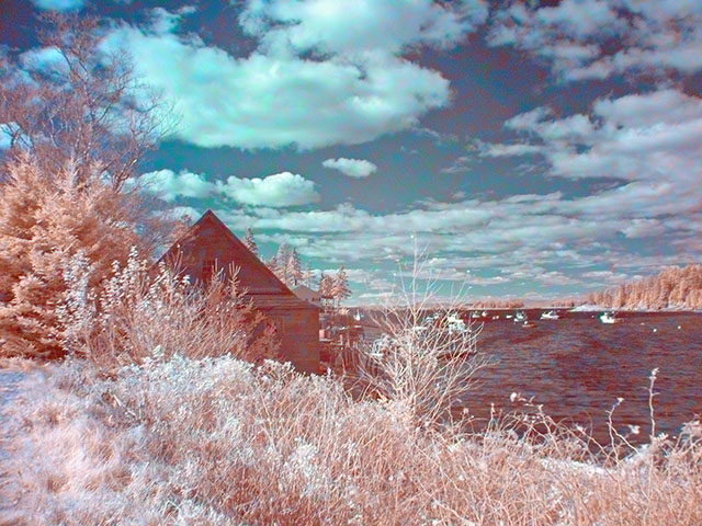 burntcovefalsecolor1.jpg
