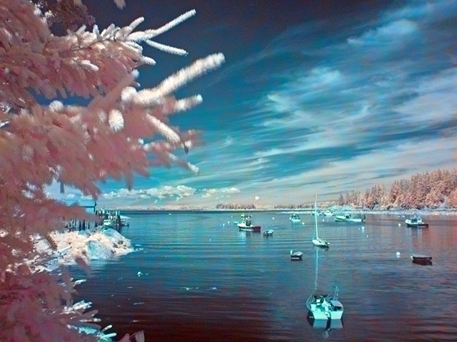burntcovefalsecolor2.jpg