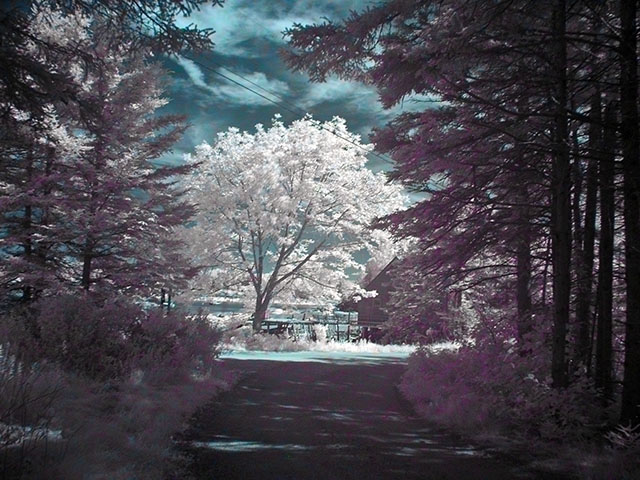 burntcovefalsecolor3.jpg