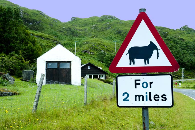 Joke on the road