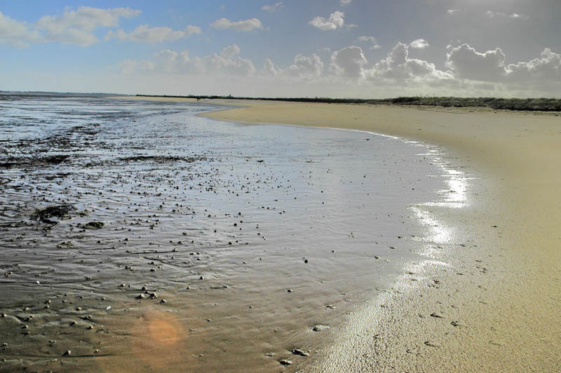 The great Ocean
