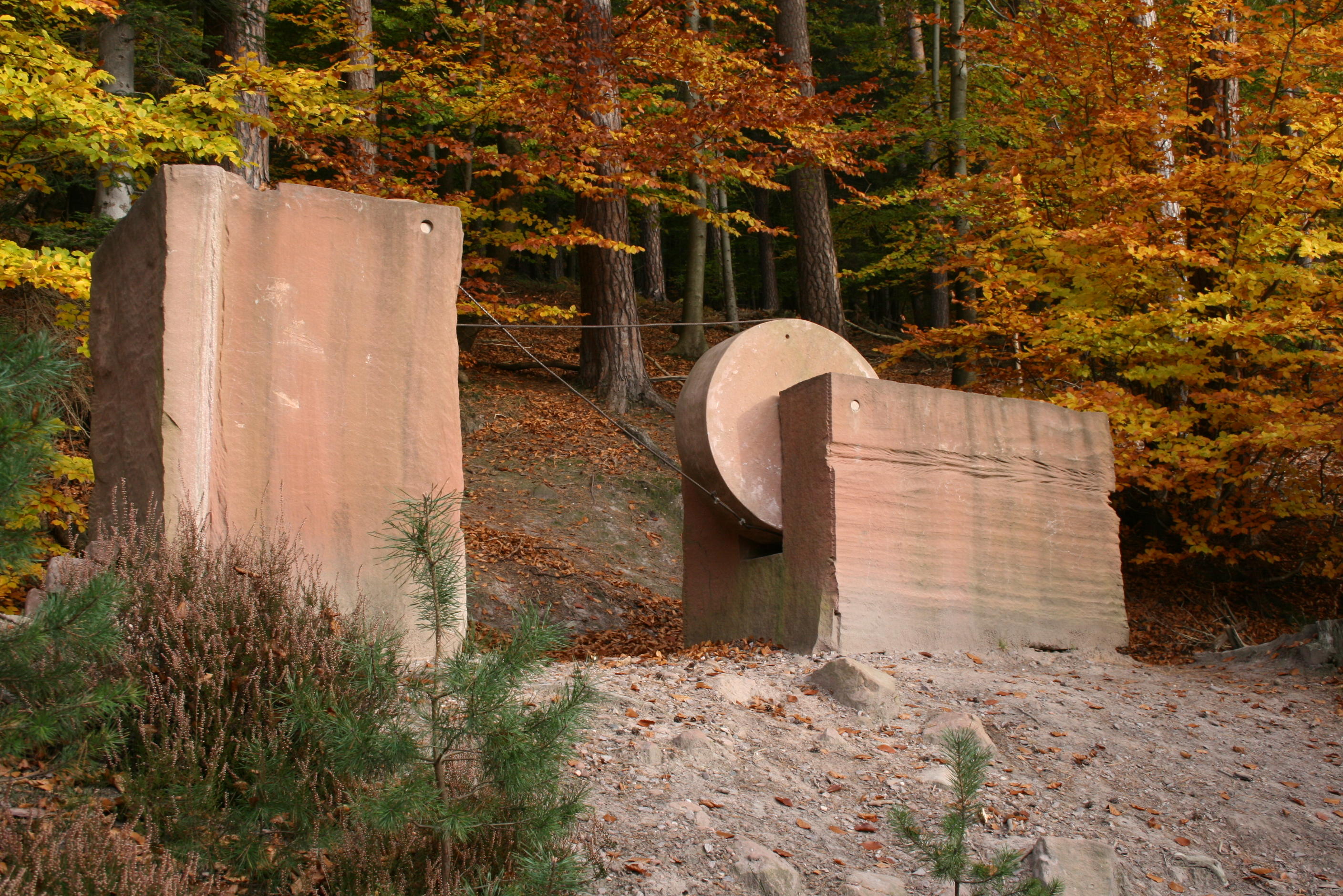 Le dialogue des Gants (Omasz Domanski - Pologne)