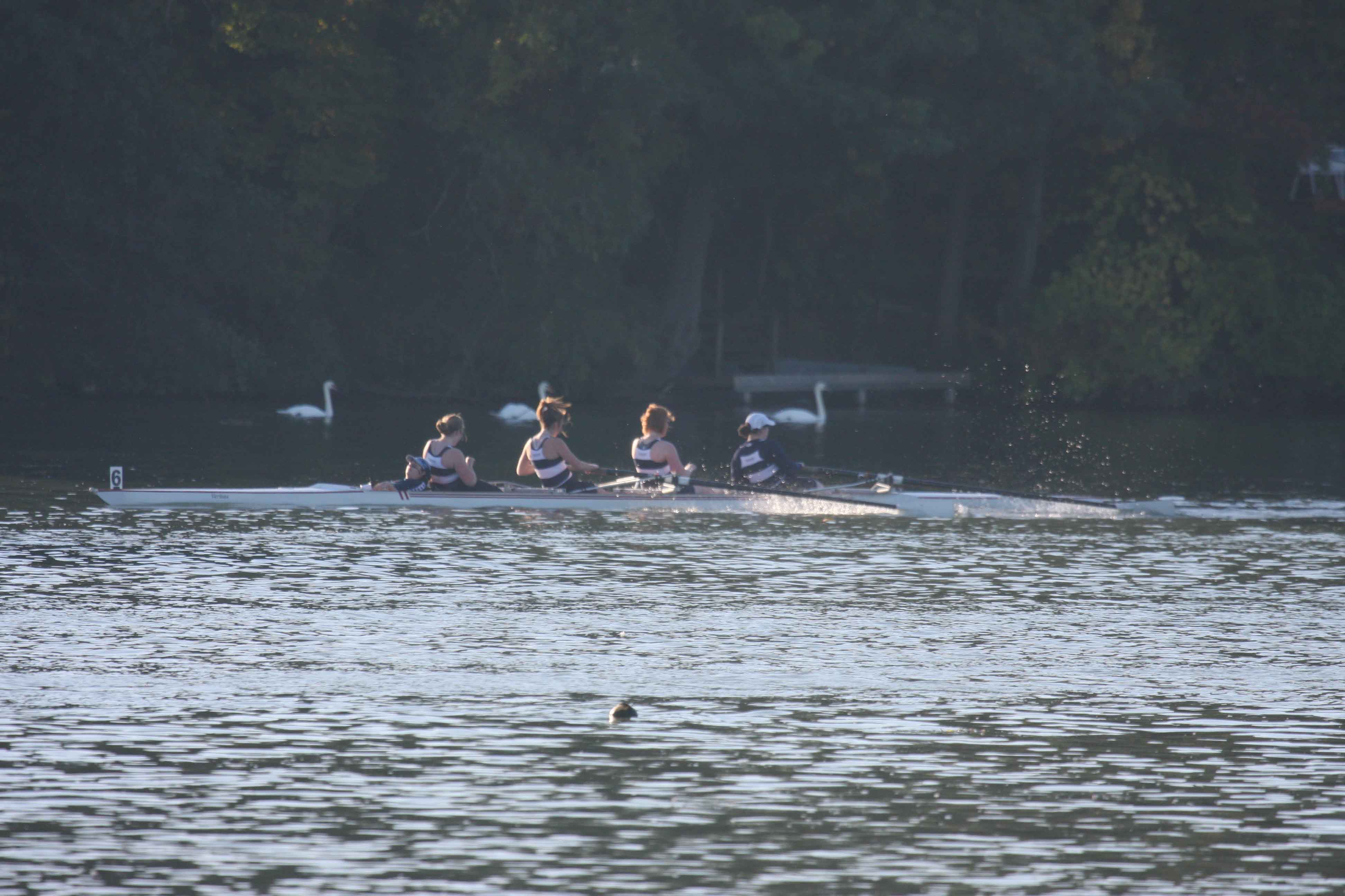Regatta-4145.jpg