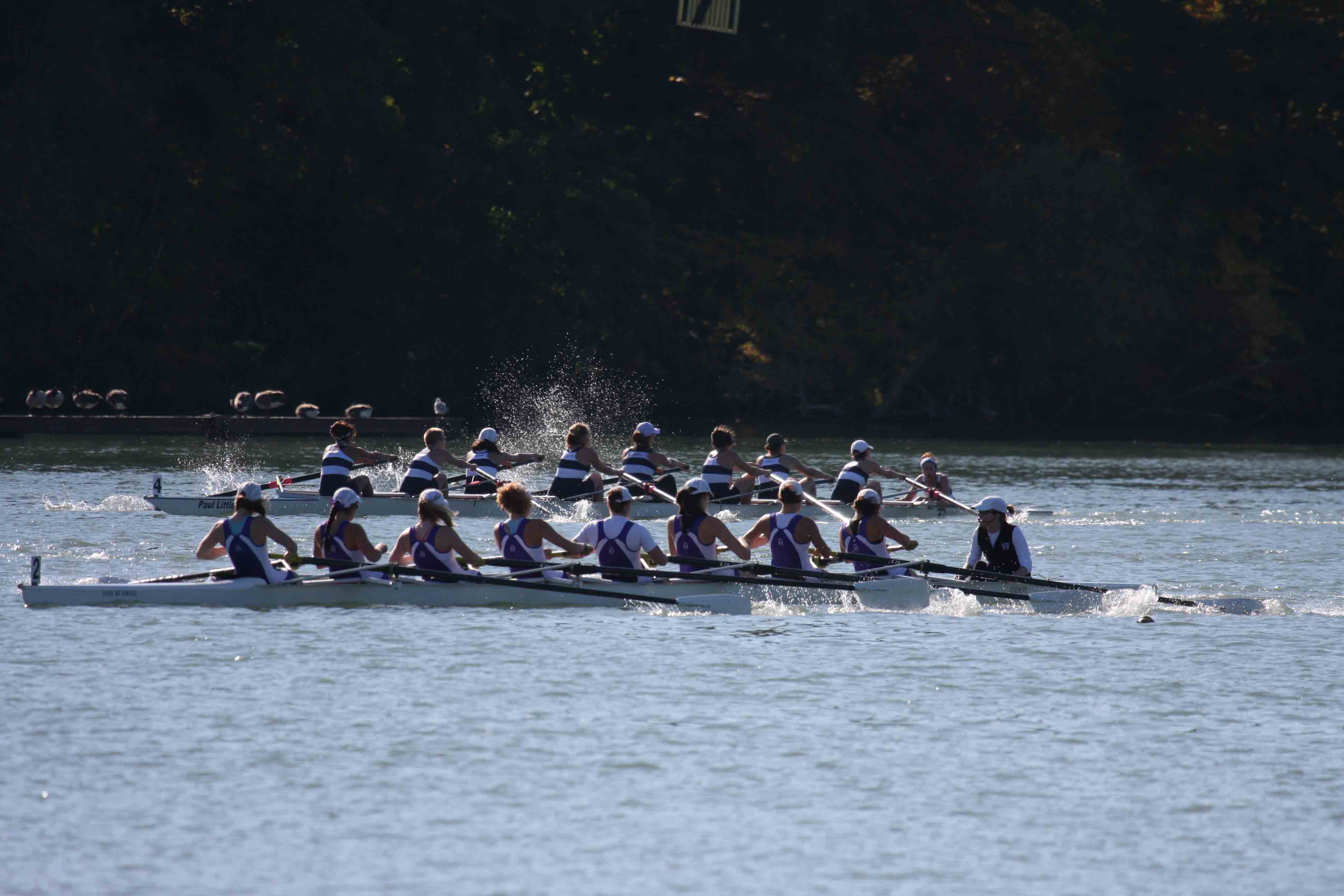 Regatta-4958.jpg