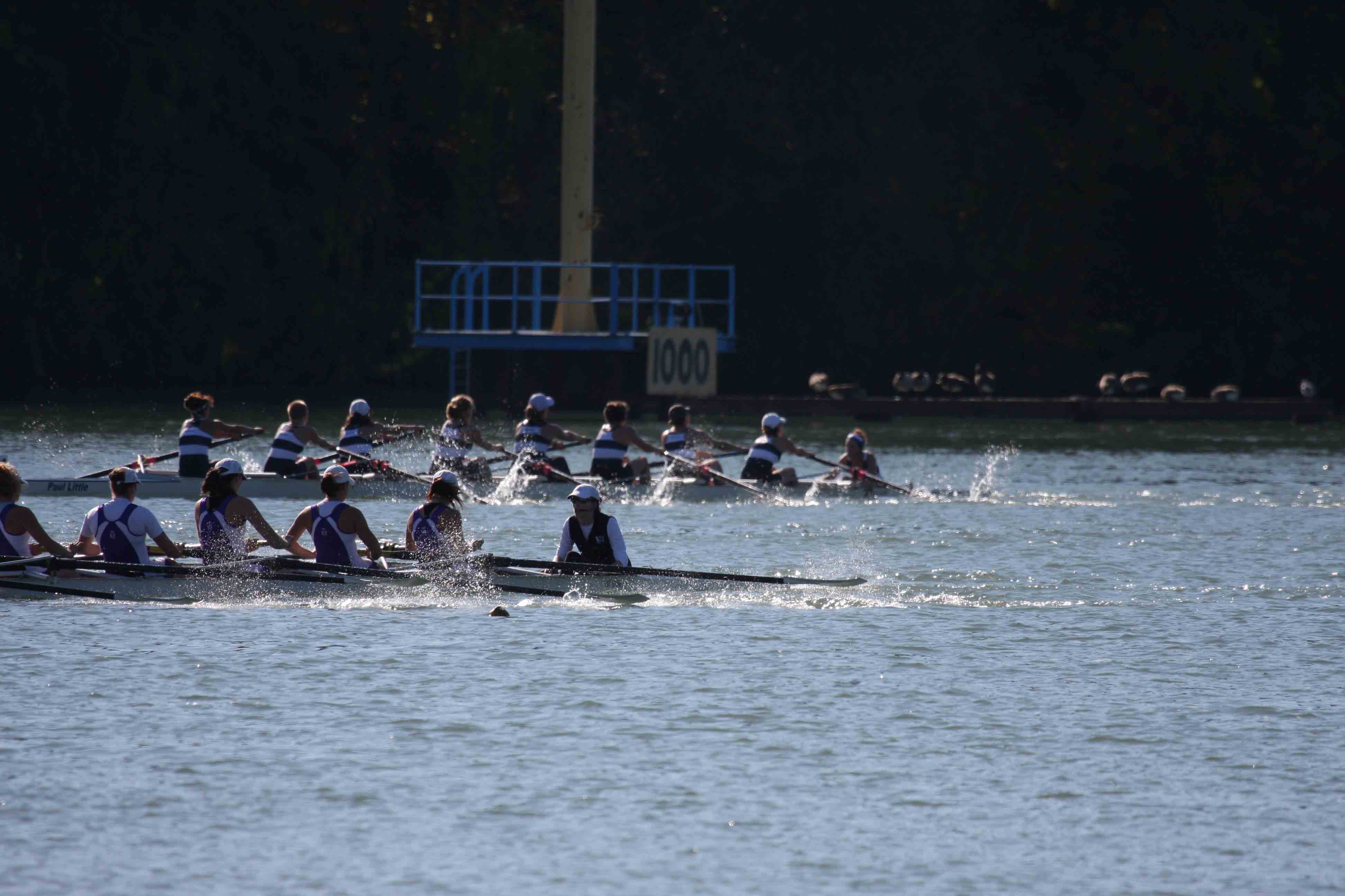 Regatta-4964.jpg