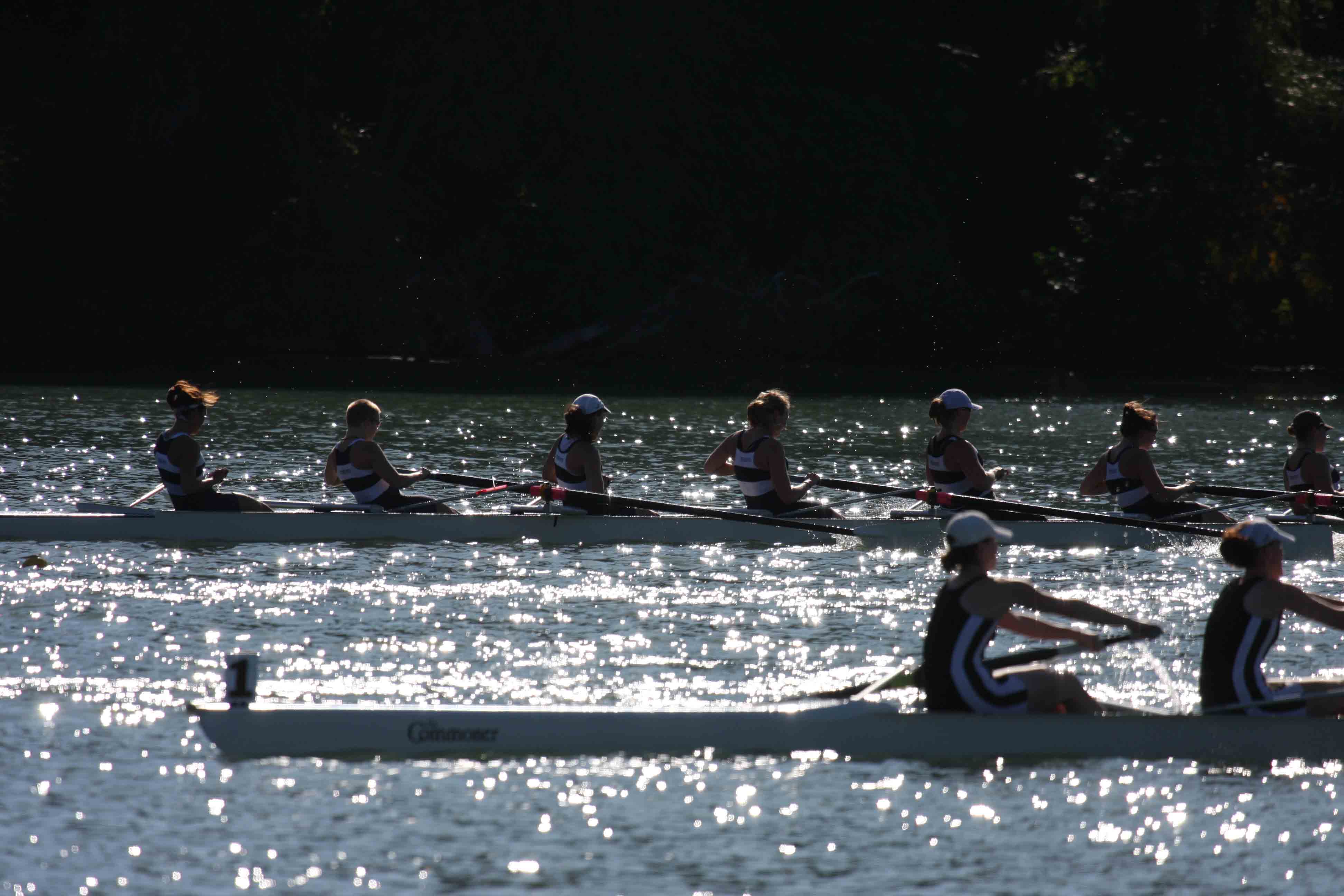 Regatta-5023.jpg