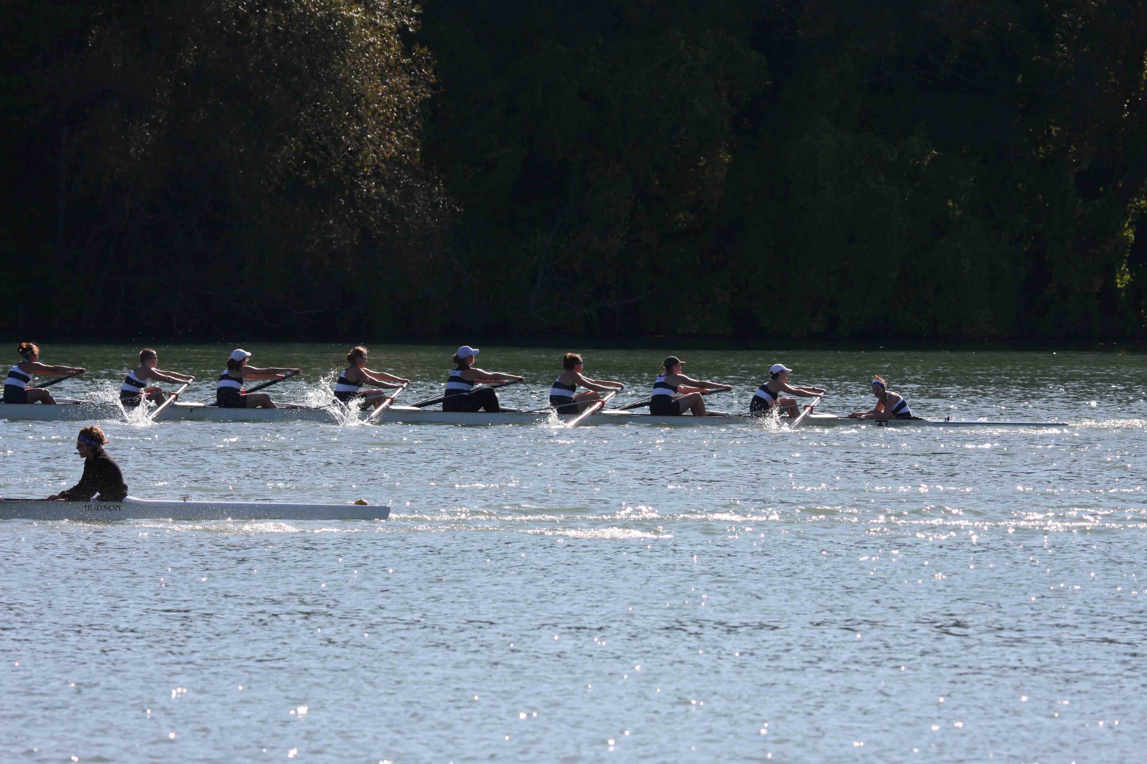 Regatta-5044.jpg
