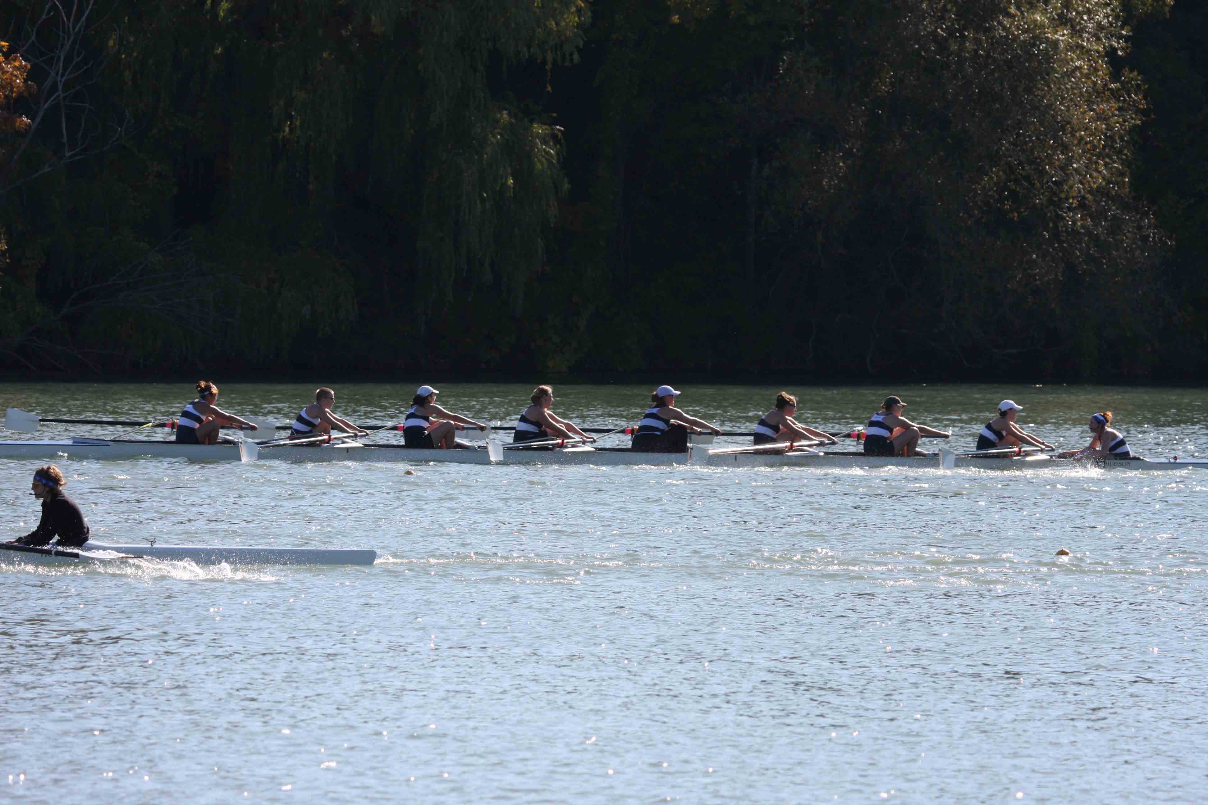 Regatta-5052.jpg
