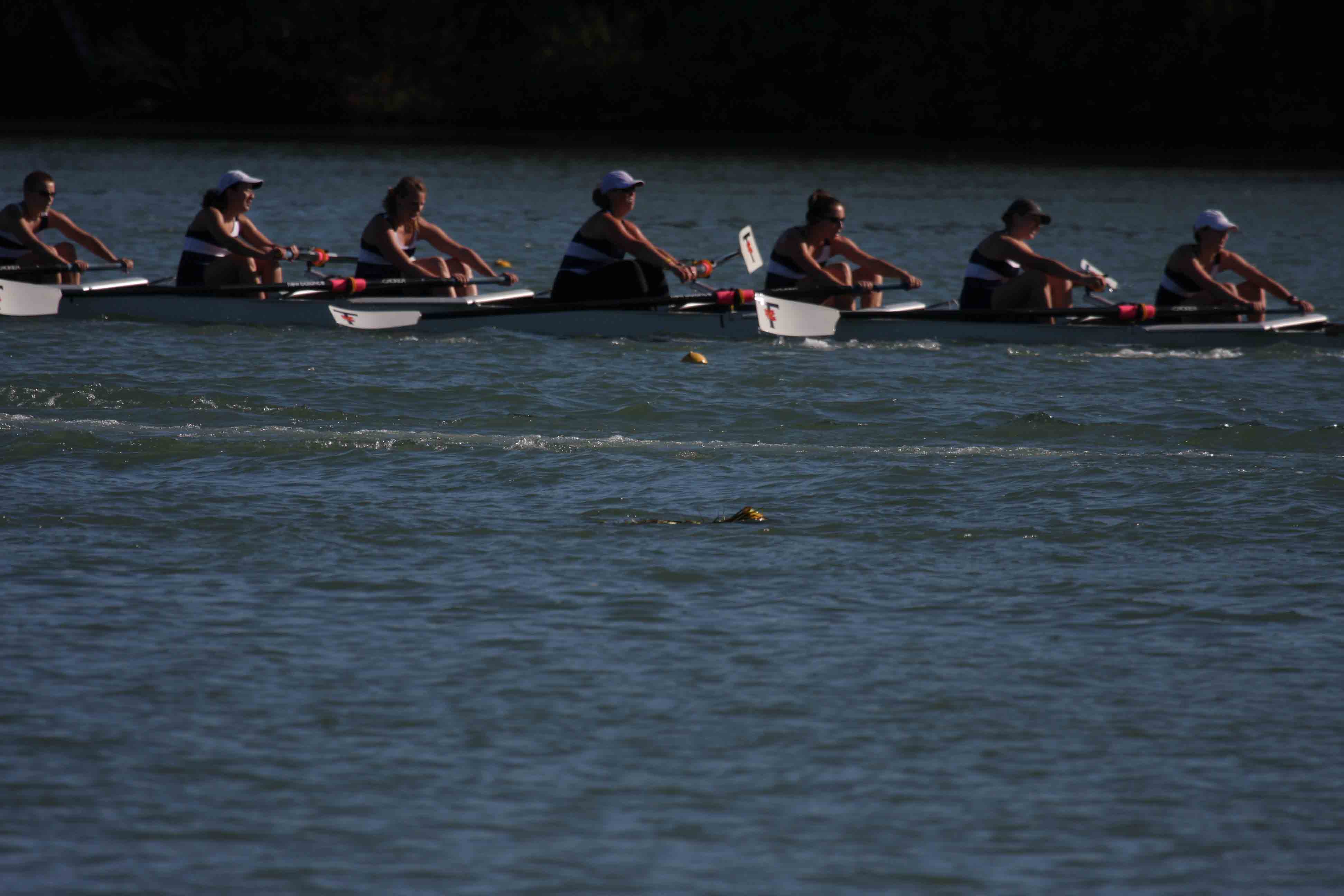 Regatta-5103.jpg