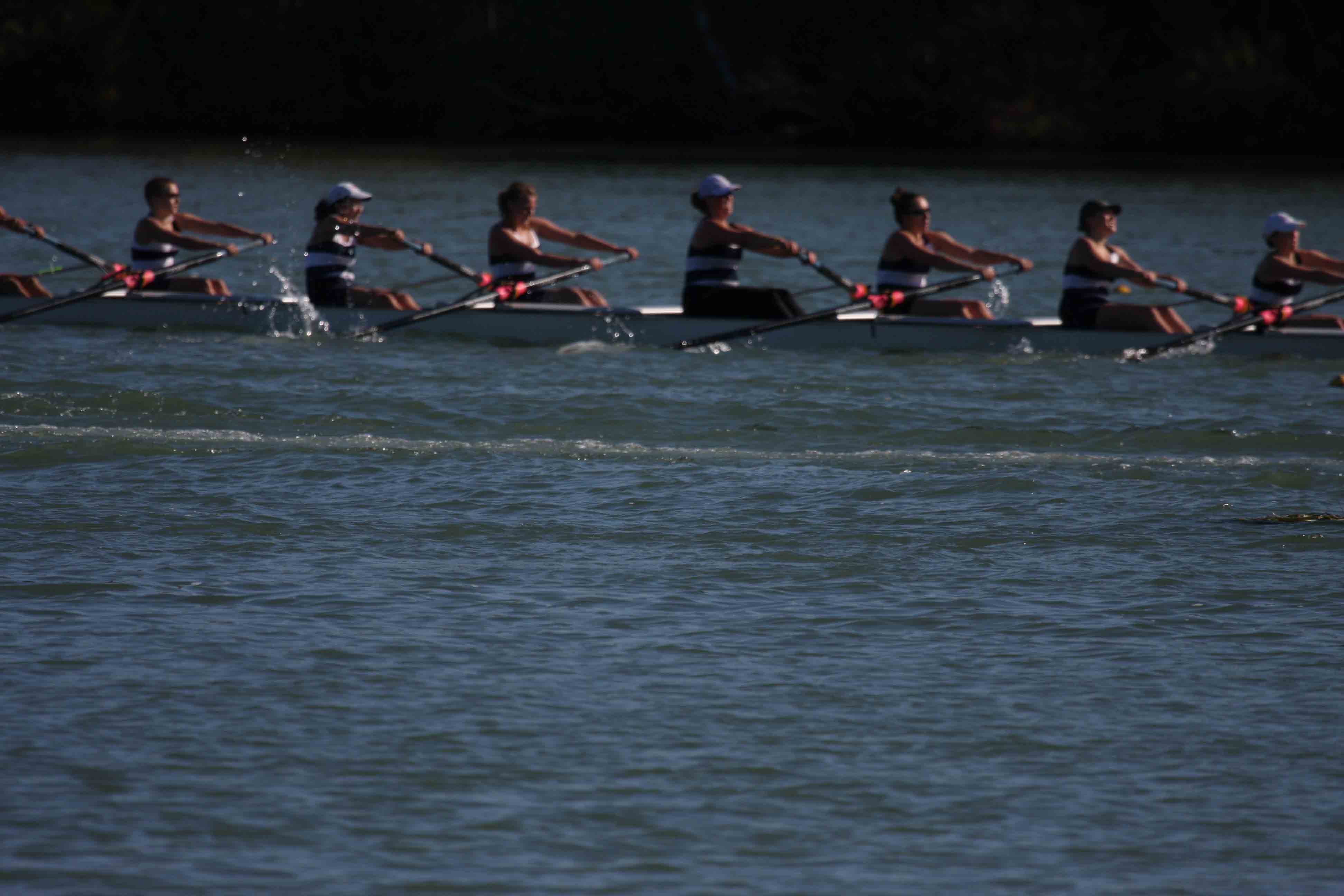 Regatta-5108.jpg
