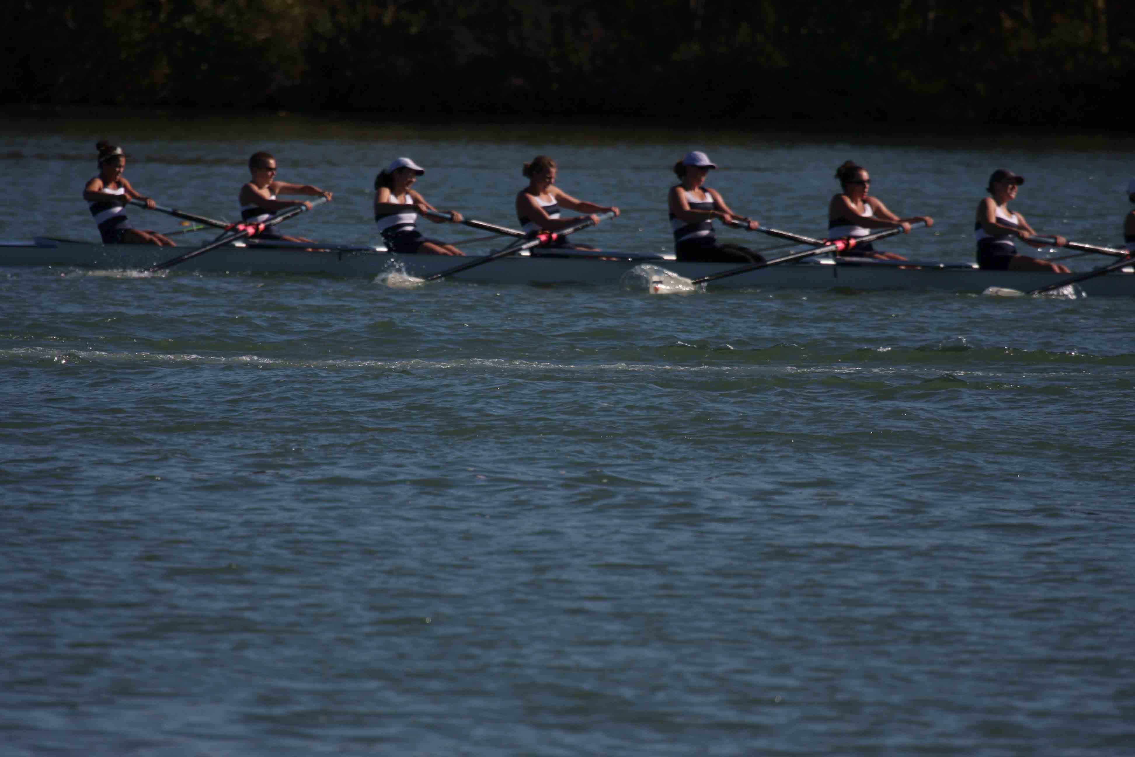 Regatta-5120.jpg