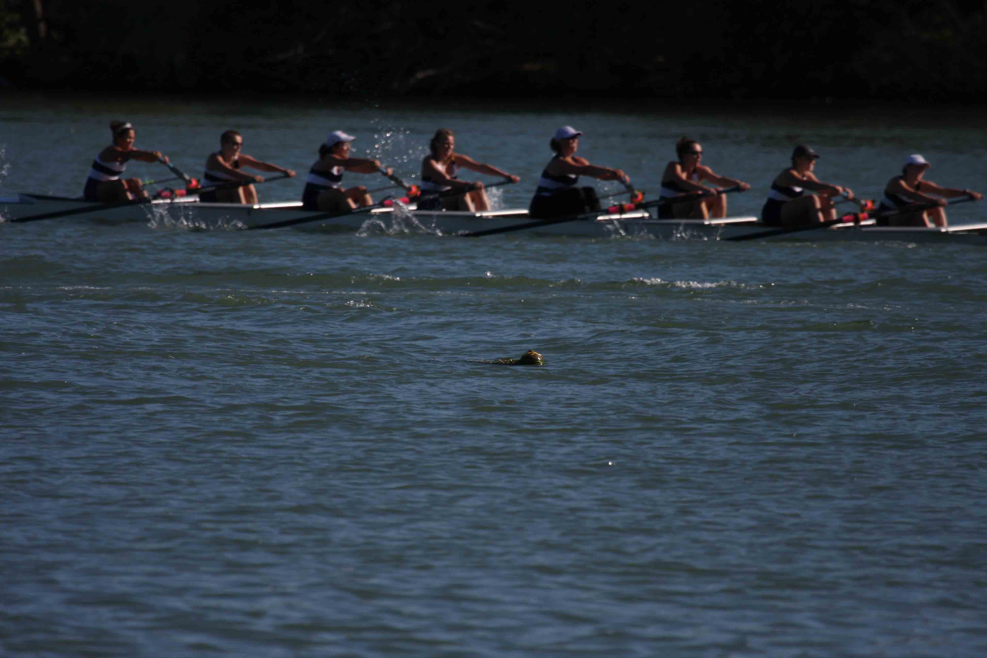 Regatta-5127.jpg
