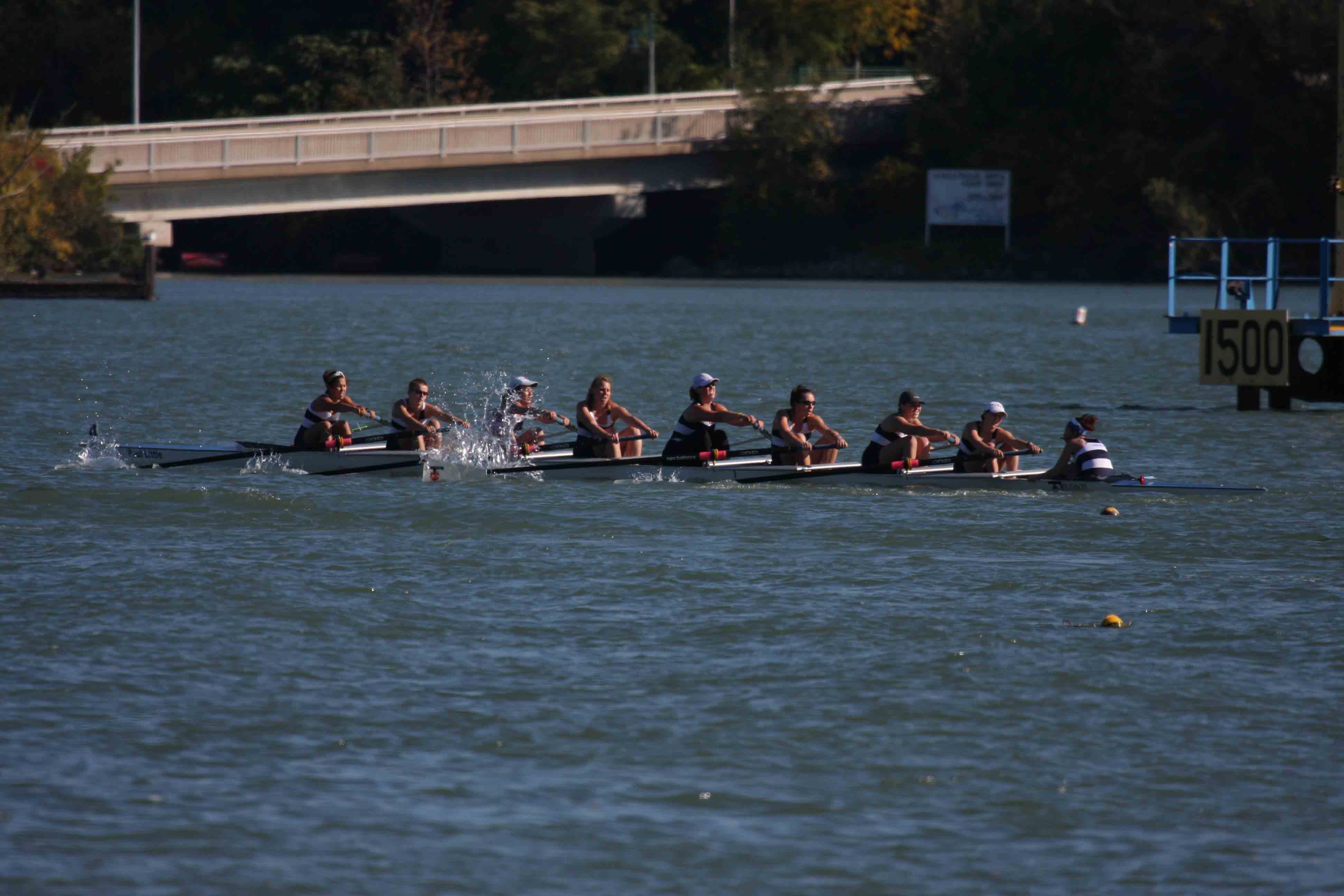 Regatta-5148.jpg