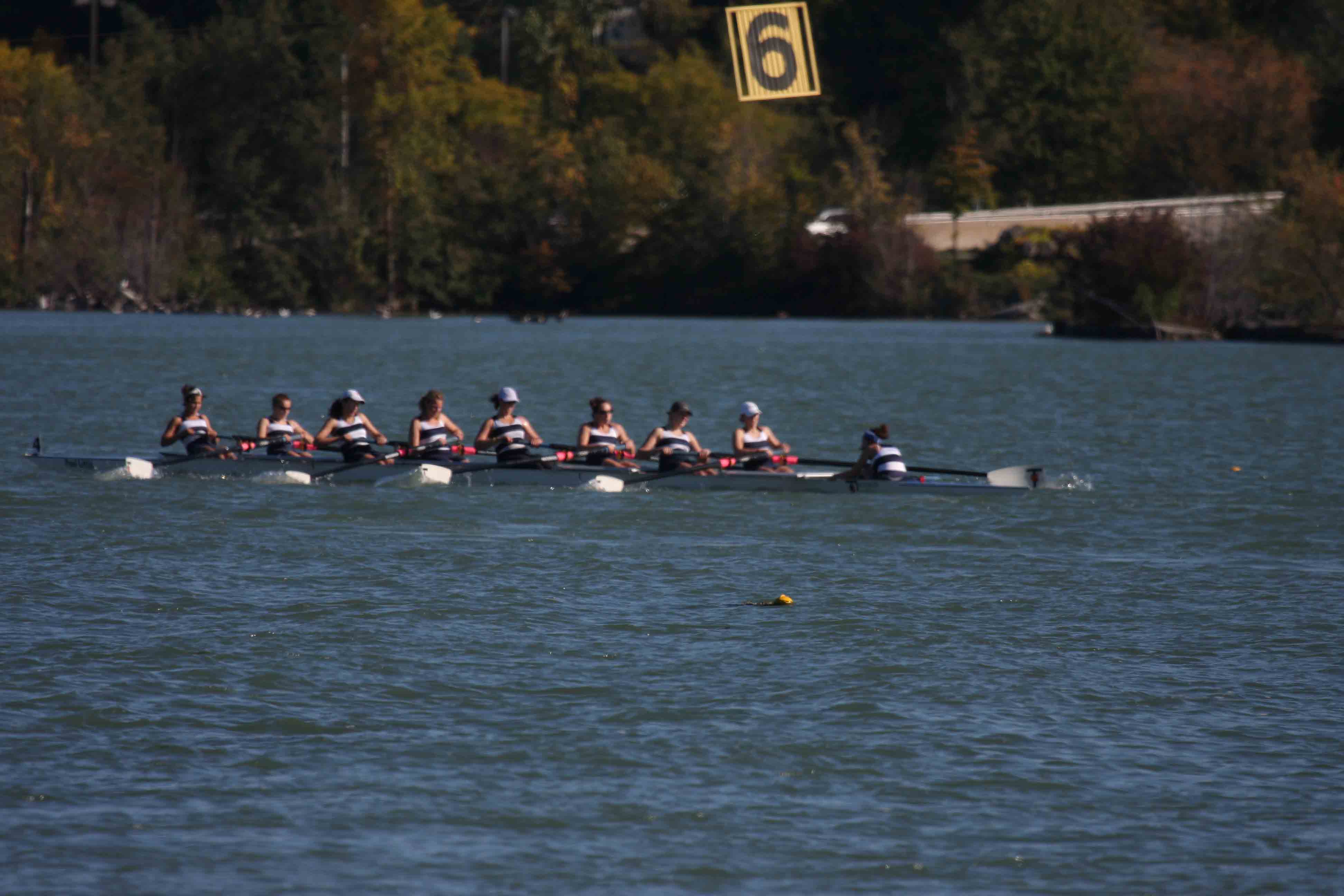 Regatta-5173.jpg