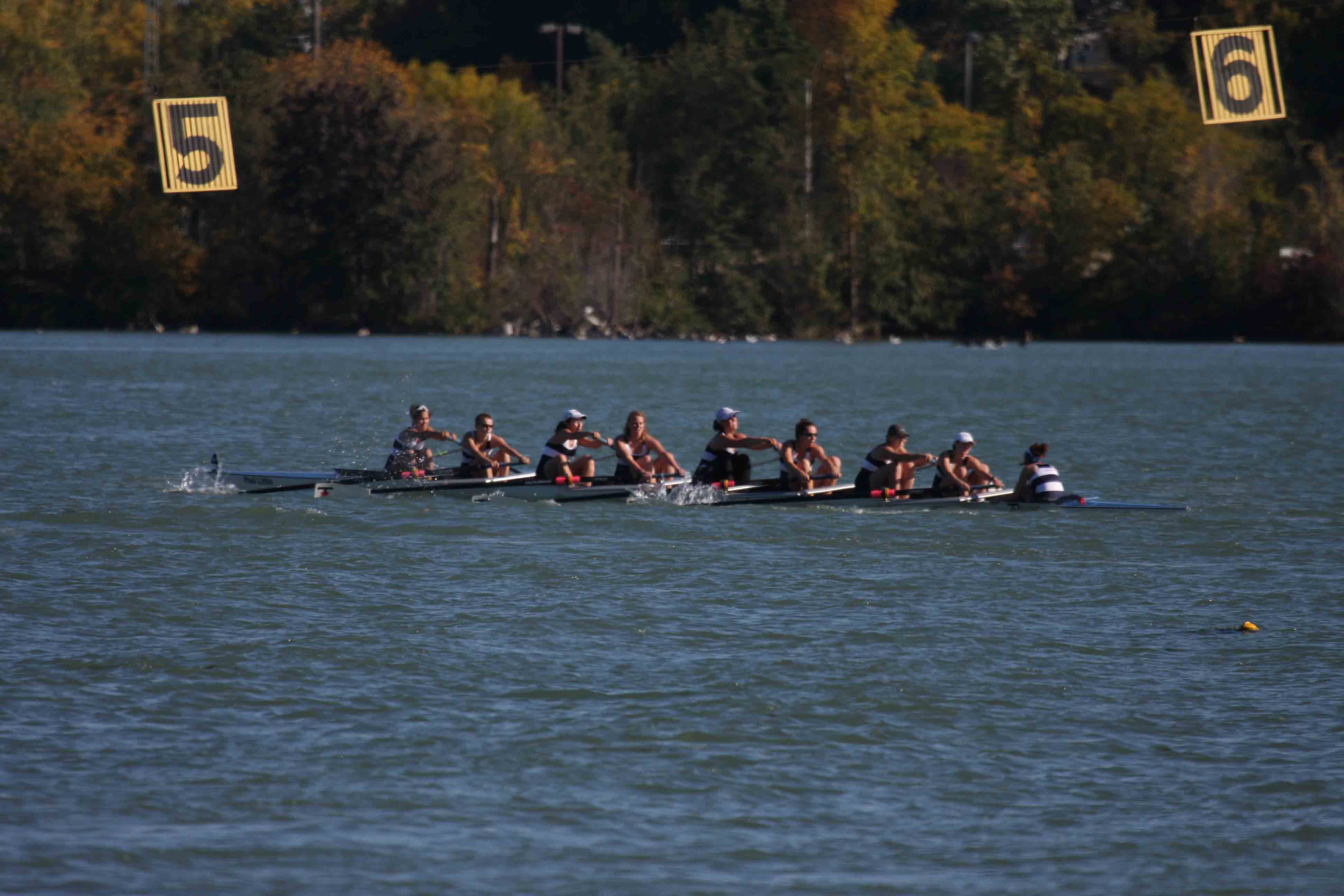 Regatta-5180.jpg
