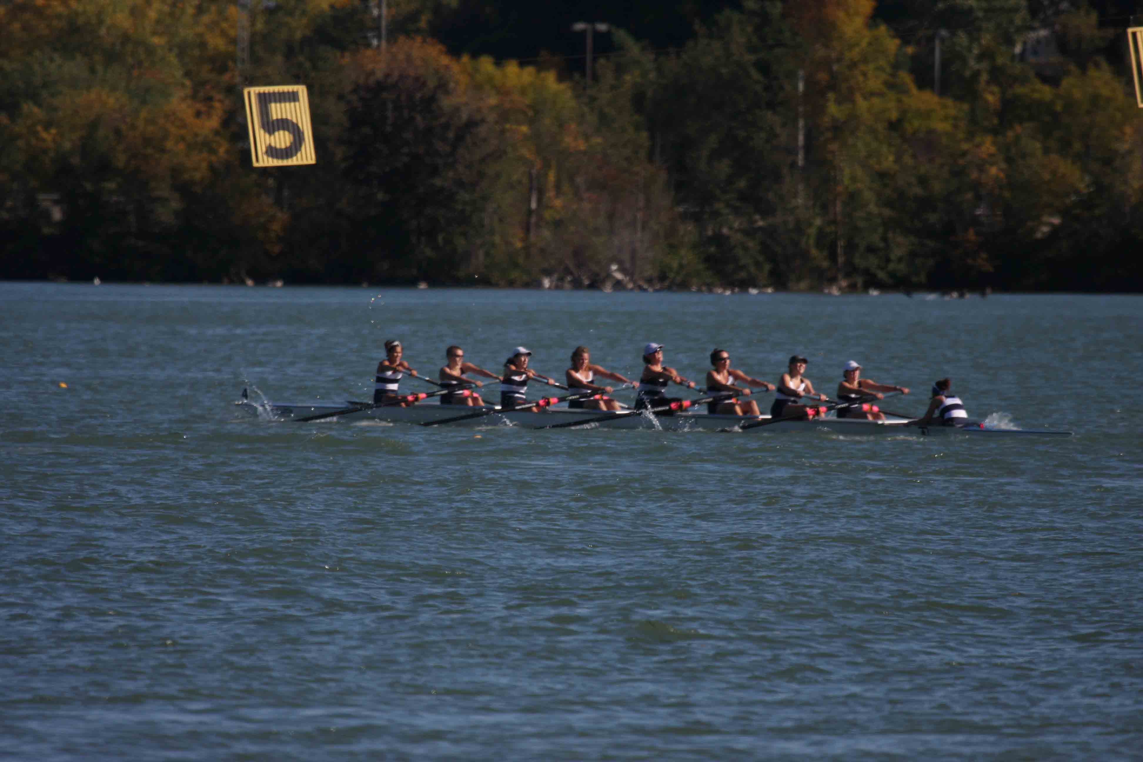 Regatta-5182.jpg