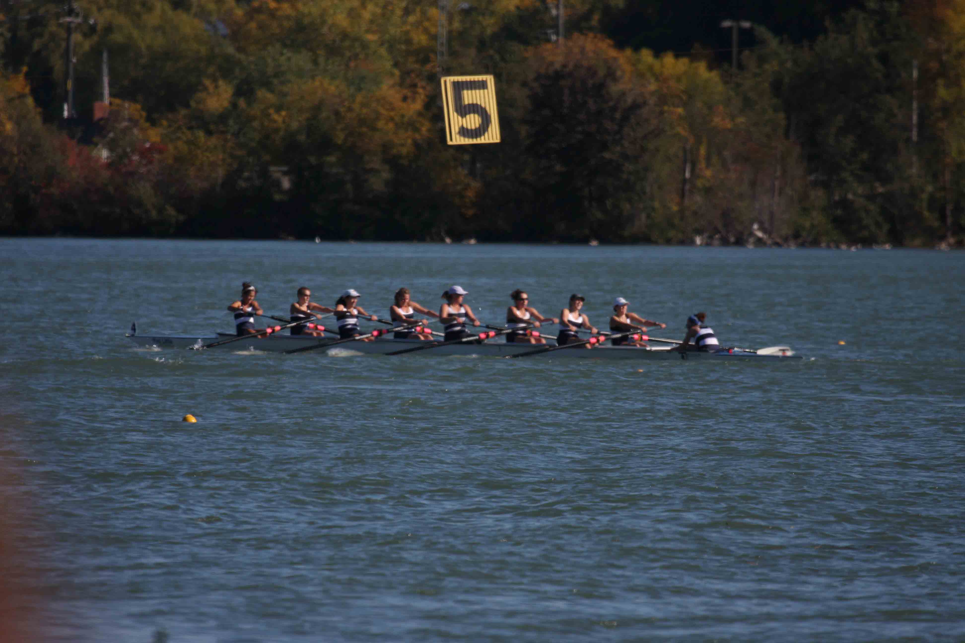 Regatta-5184.jpg