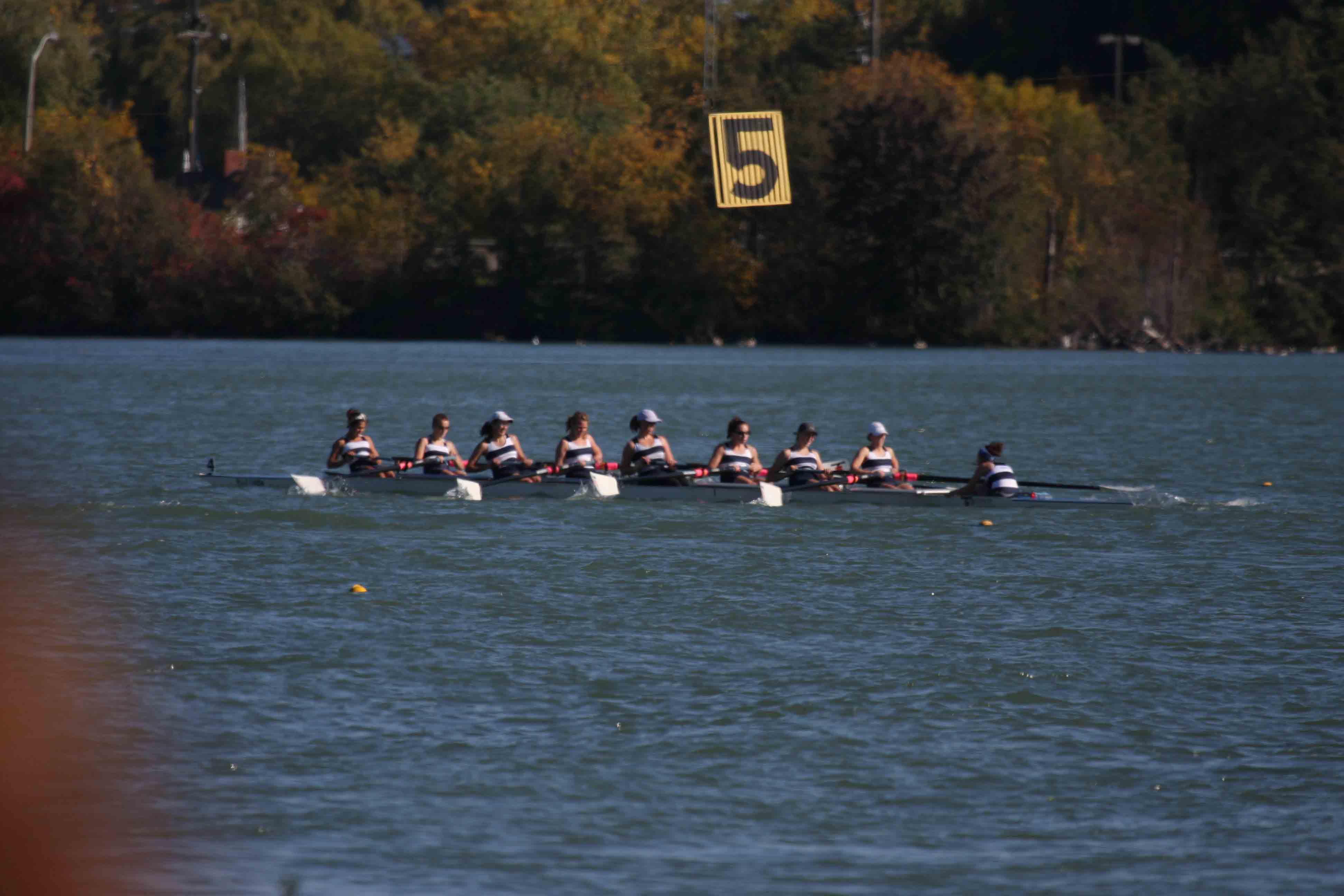 Regatta-5186.jpg