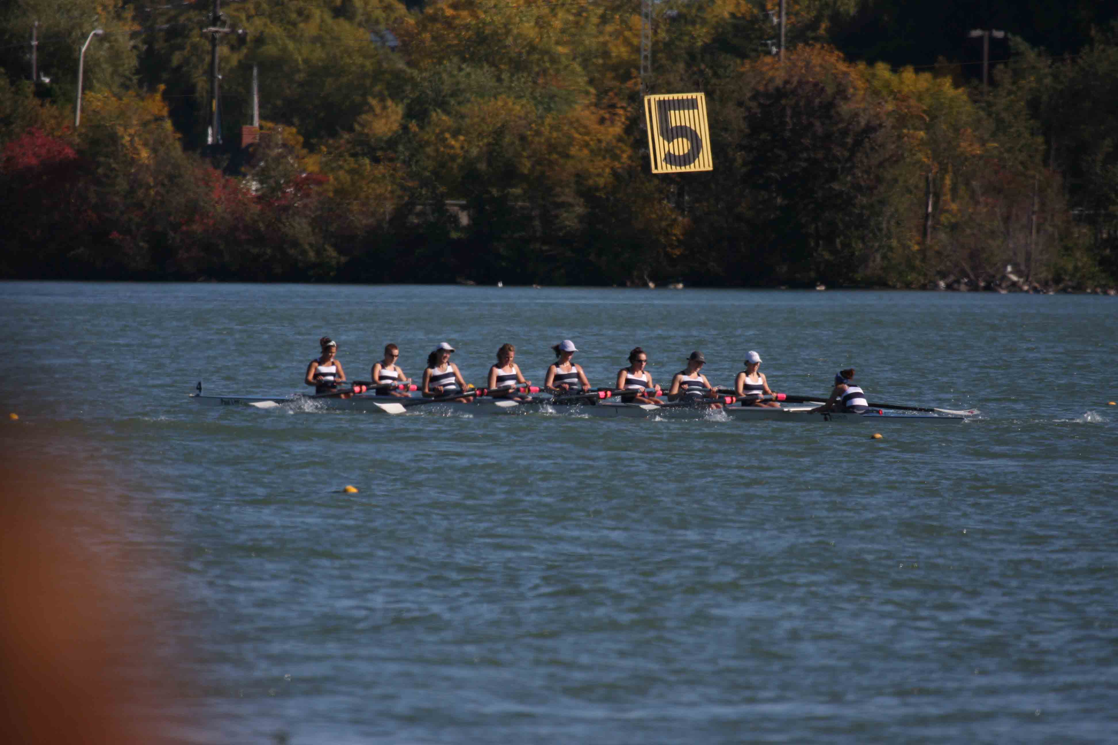 Regatta-5187.jpg