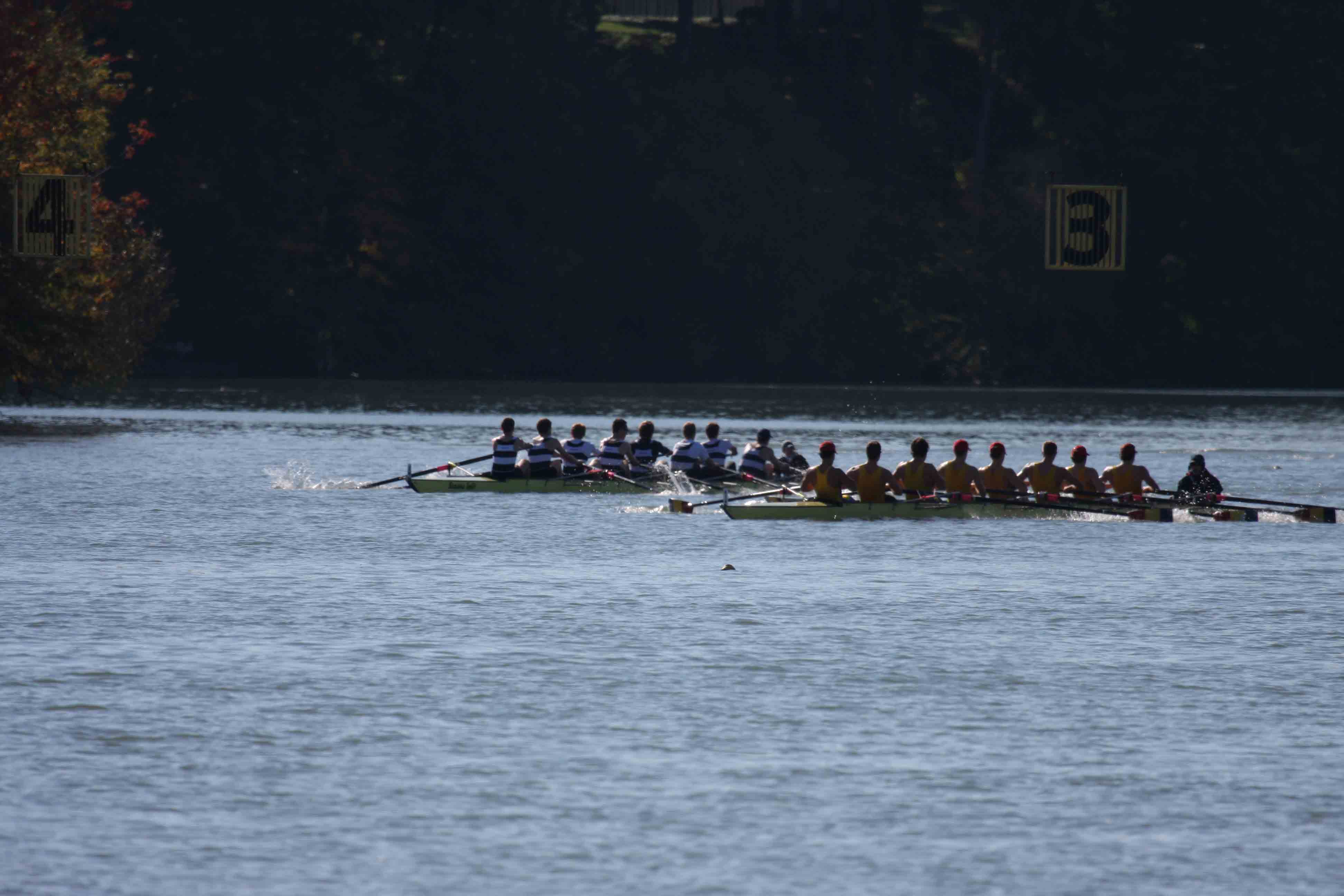 Regatta-5211.jpg
