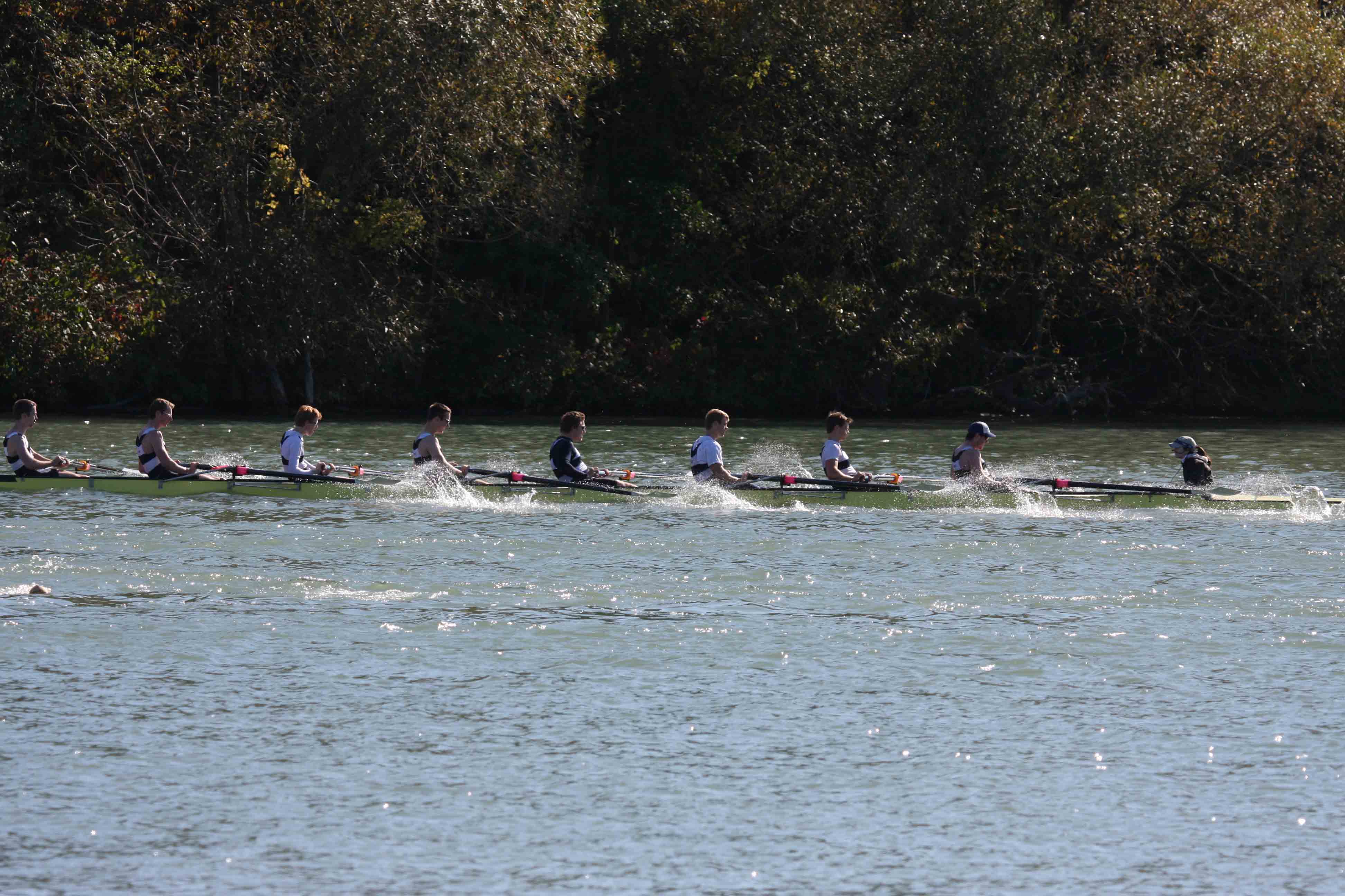 Regatta-5238.jpg
