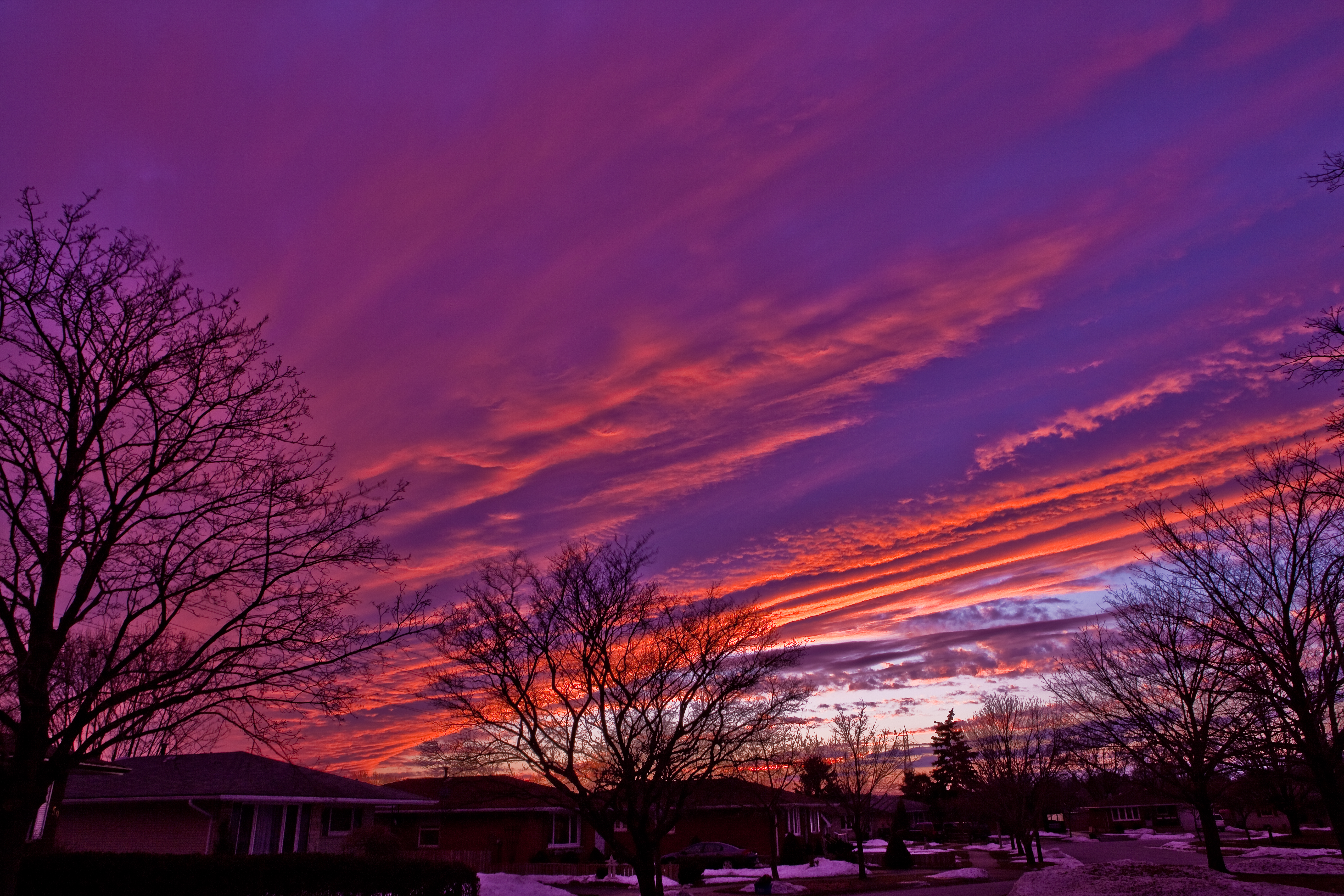 Darcy Sunset-0313.jpg