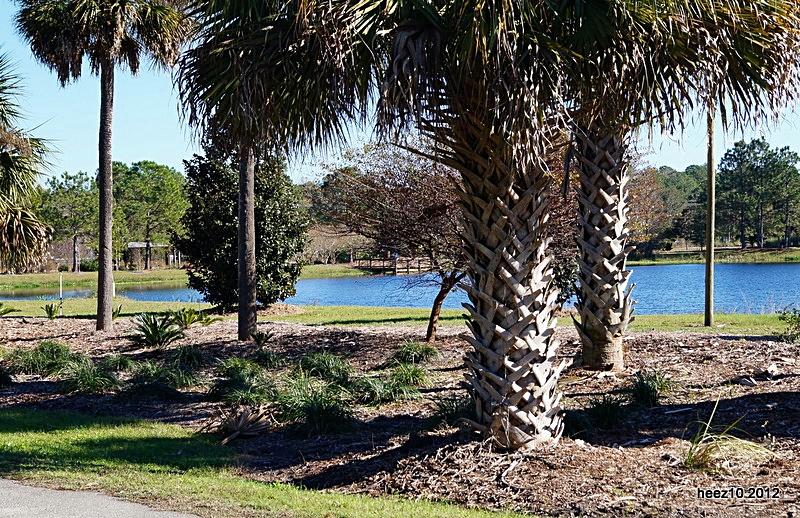 DSC02607-001.JPG