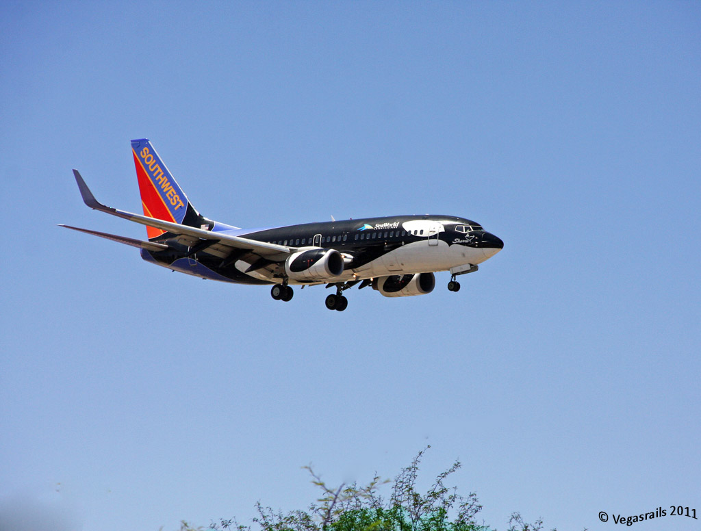 Shamu 737