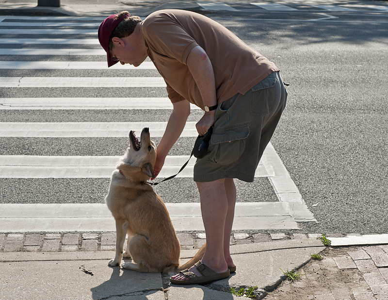 Learning about streets