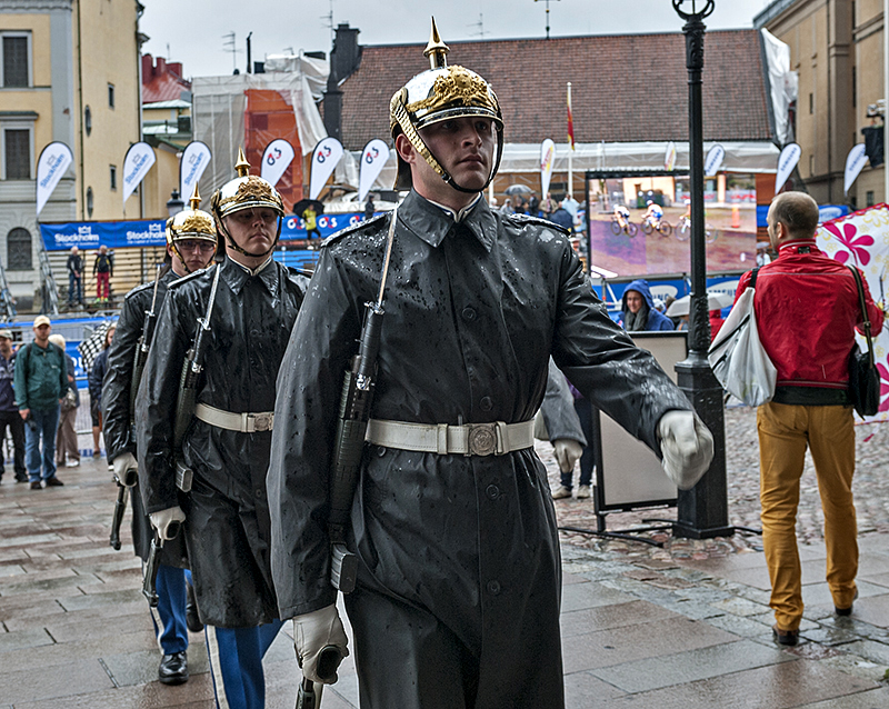 Drenched palace guard
