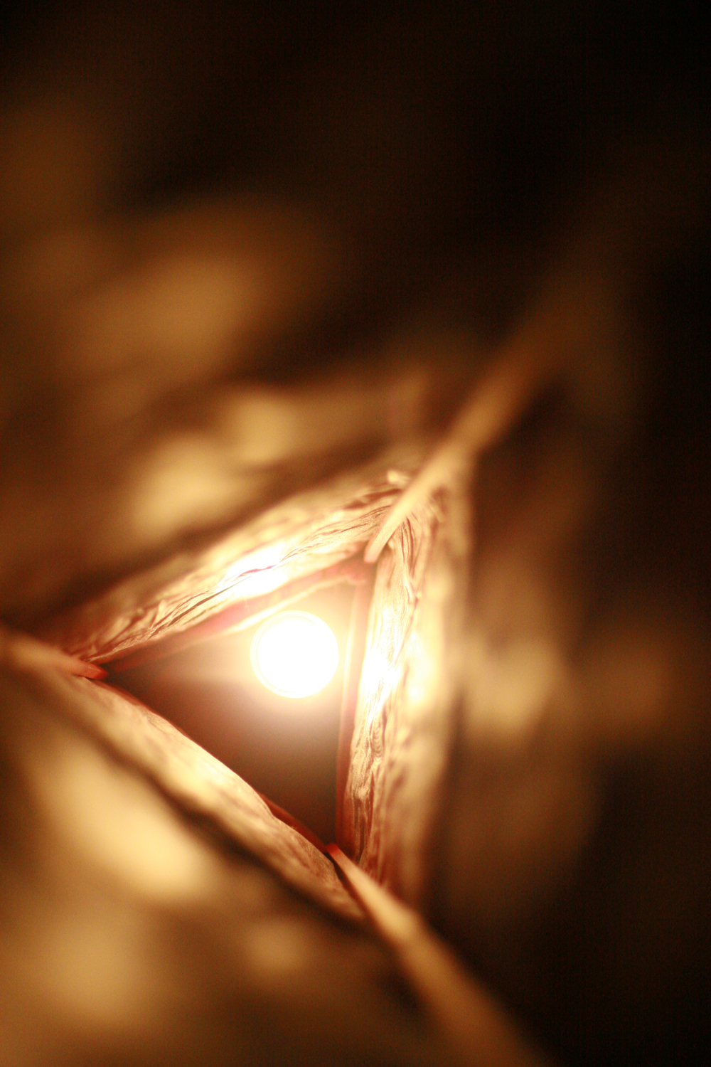Light Bulb